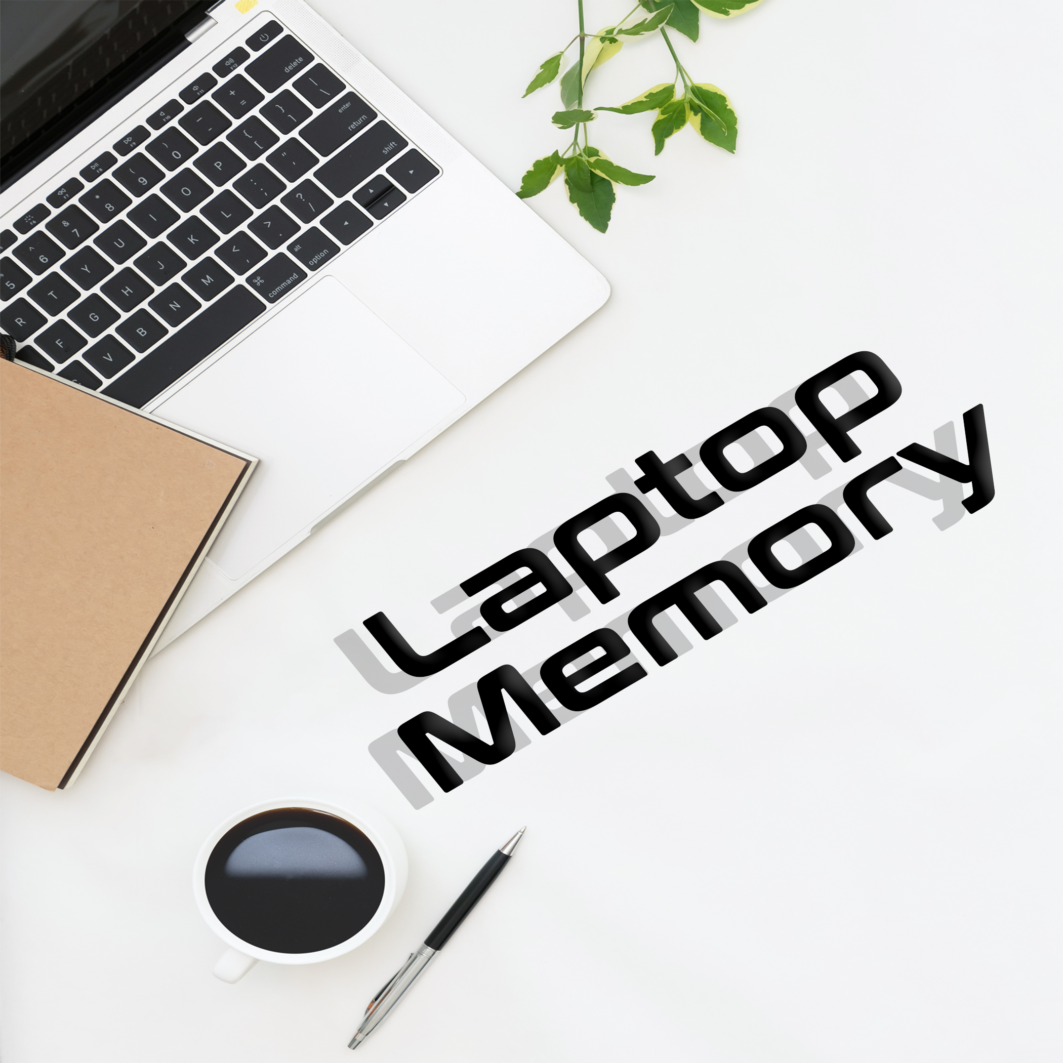 Laptop Memory